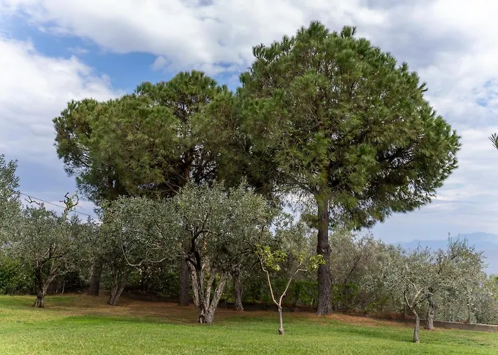 Elia Kavala - Mediterranean *