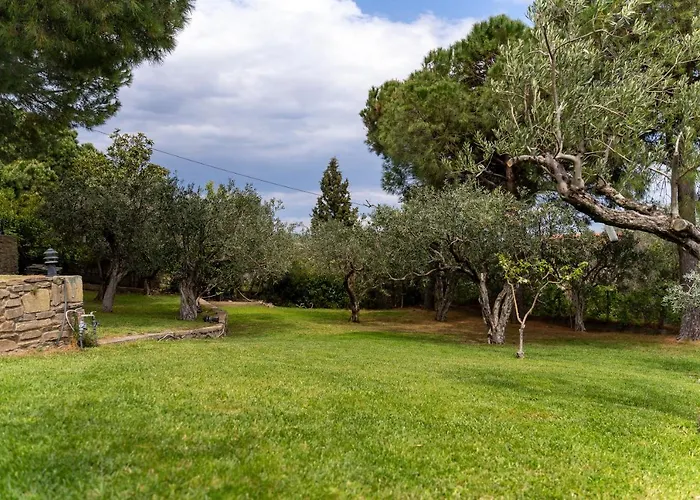 Elia Kavala - Mediterranean PalaiónTsiflíkion