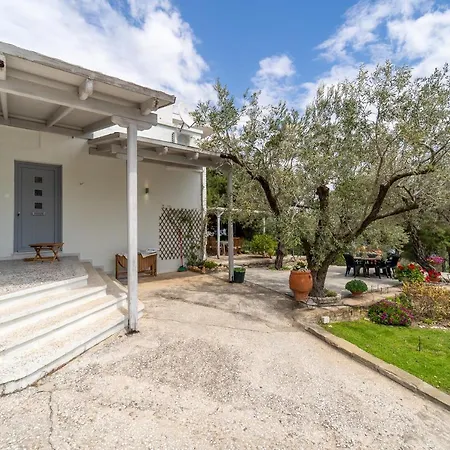 Elia Kavala - Mediterranean PalaiónTsiflíkion