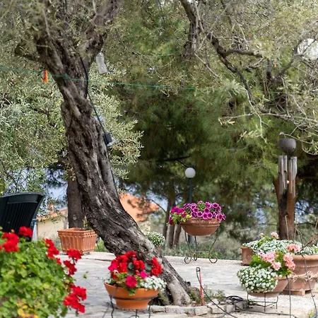 Elia Kavala - Mediterranean *