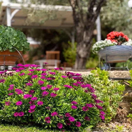 Vilă Elia Kavala - Mediterranean PalaiónTsiflíkion