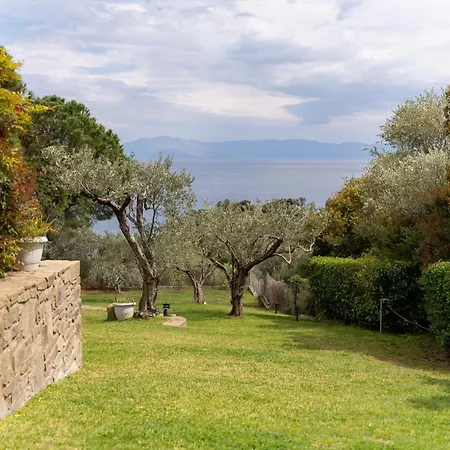 Elia Kavala - Mediterranean