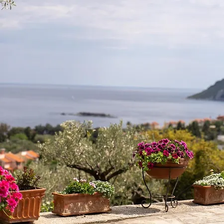 Elia Kavala - Mediterranean Vilă