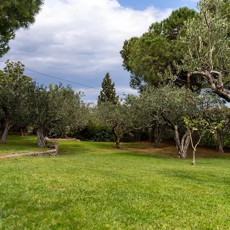 Elia Kavala - Mediterranean PalaiónTsiflíkion