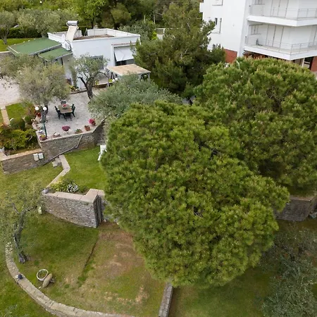 Elia Kavala - Mediterranean Villa PalaiónTsiflíkion